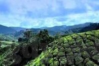 乡村伦理电影-乡村伦理电影，乡土情怀与道德镜像的交织